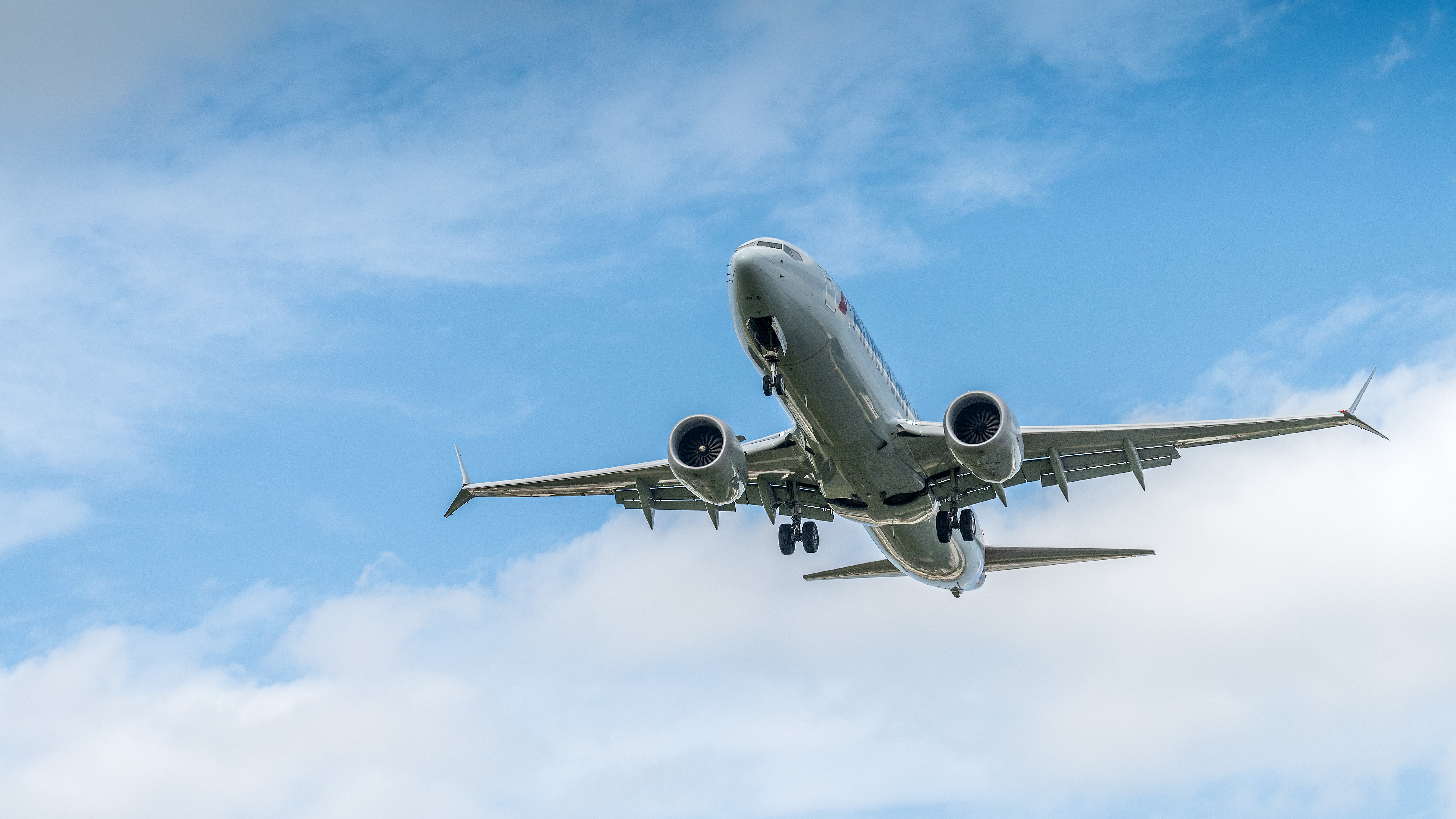 What Are the Features of the Boeing 401(k) Plan (VIP)?